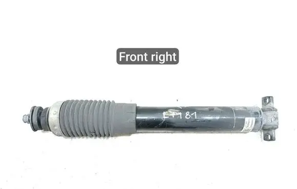 Chevrolet Corvette C6 Front shock absorber/damper 22784745