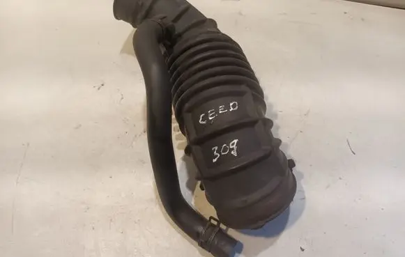 KIA Ceed Air intake hose/pipe 281381M250