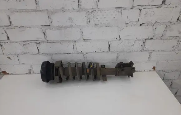Opel Vivaro Front shock absorber with coil spring