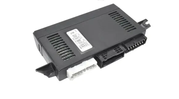 BMW 5 E39 Light module LCM 8386208 HW00SW41