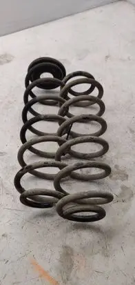 Rear coil spring