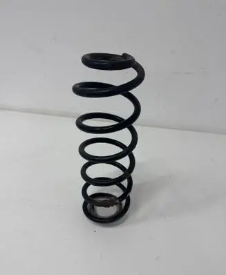 Rear coil spring