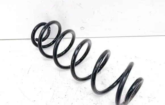 Rear coil spring