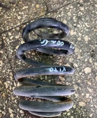 Rear coil spring