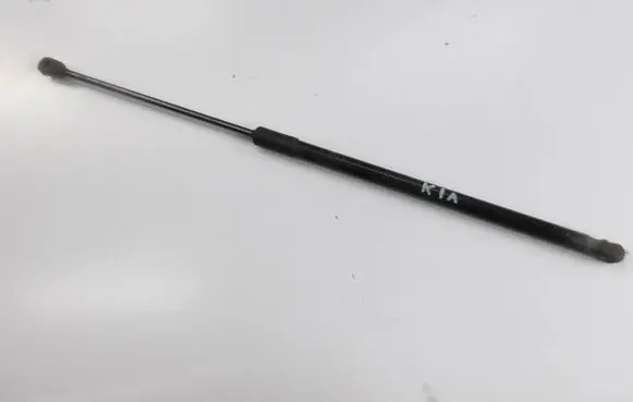 Tailgate/trunk strut/damper