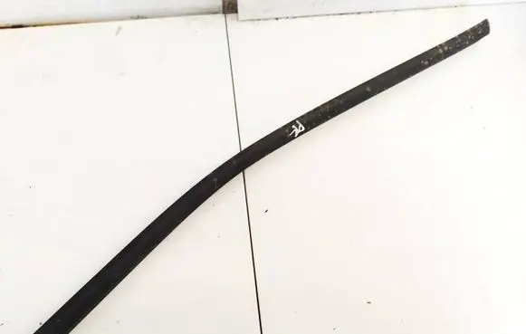 Mercedes-Benz B W245 Front door glass trim molding