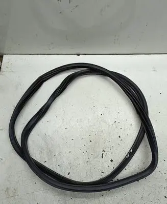 BMW X6 E71 Rubber seal rear door 