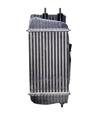 Nissan Juke I F15 Intercooler radiator SHA1393003 144601k00b
