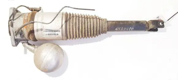Volkswagen Phaeton Rear shock absorber/damper 3d0616001m