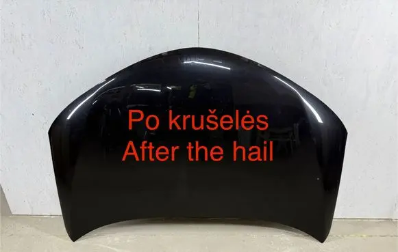Toyota RAV 4 (XA40) Engine bonnet/hood 