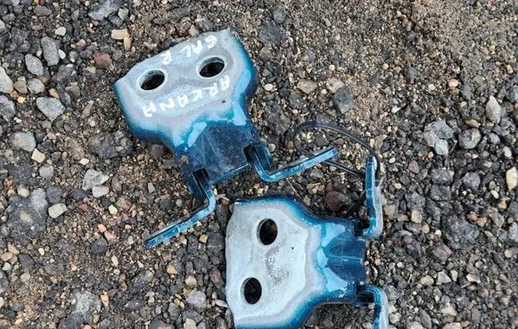 Renault Arkana Rear door hinge set DVDE
