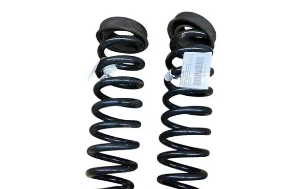 Rear coil spring