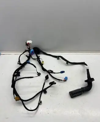 Seat Ateca Front door wiring loom 576971120CB 1SB4576120CBA AW9SEBNMA