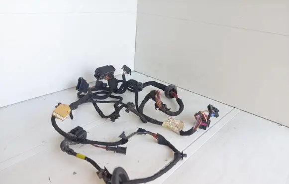 Front door wiring loom