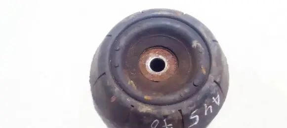 Coil spring mount