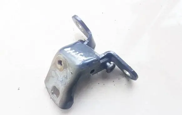 Rear door lower hinge