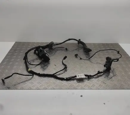 Audi A8 S8 D4 4H Front door wiring loom 4H0971029MC TAB027259D 4h0959793G