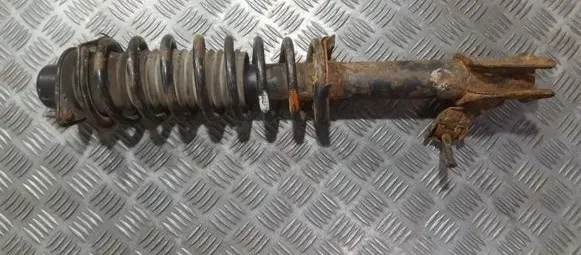Nissan Micra Front shock absorber/damper 543034e105