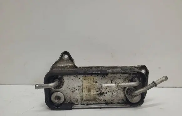 Mercedes-Benz C W203 Fuel cooler (radiator) A6120700079