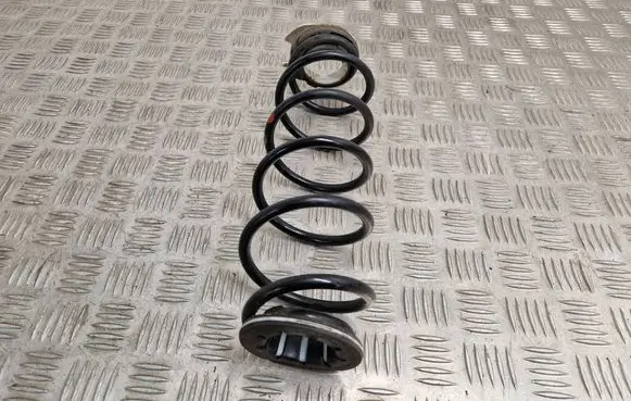 Rear coil spring