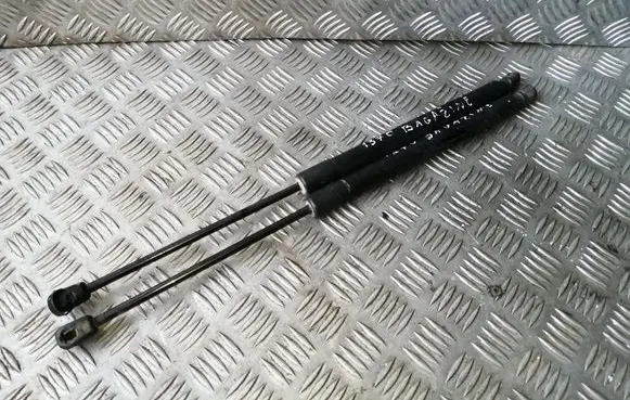 Tailgate/trunk strut/damper
