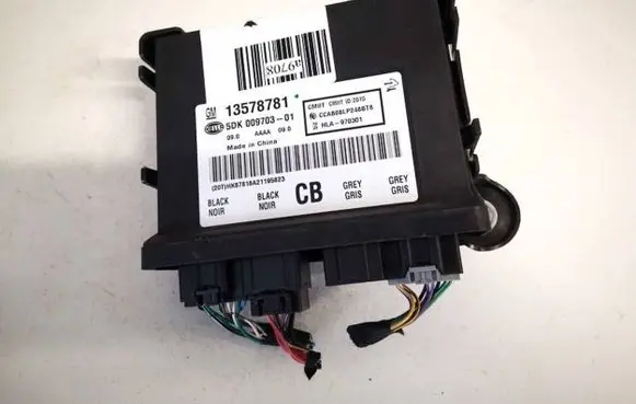 Cadillac ATS Other control units/modules 13578781 5dk009703-01