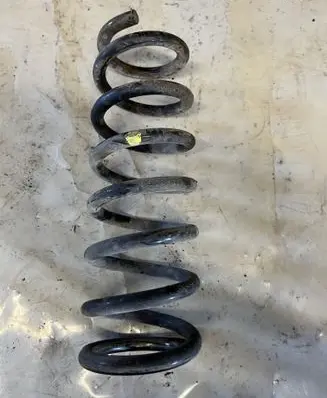 Rear coil spring