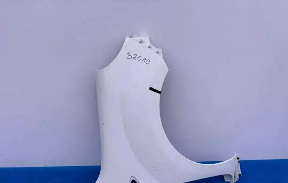 Renault Kangoo II Fender 631002009R