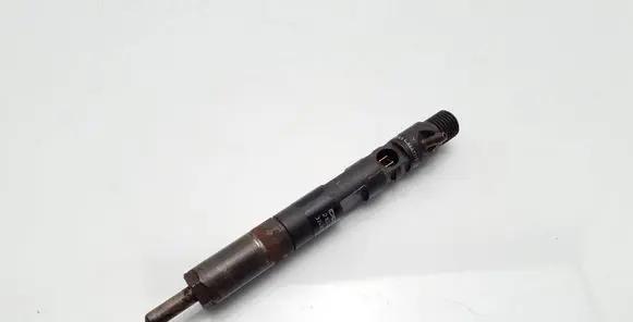 Renault Clio III Fuel injector 166001137R H8200421897 28232251