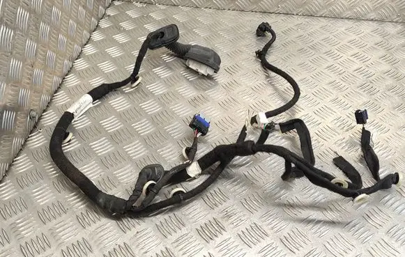 Renault Clio V Rear door wiring loom 241275092R