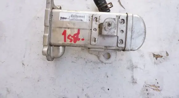 Seat Leon (1M) EGR valve cooler
