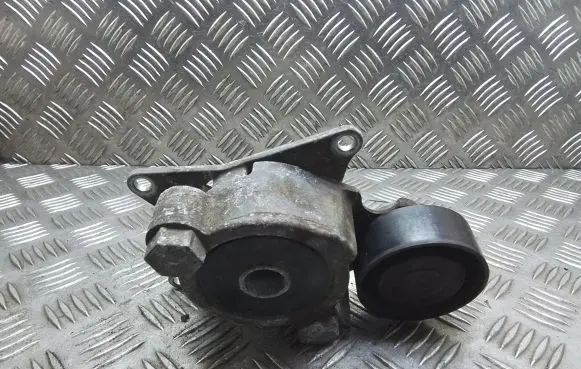 Toyota Verso Generator/alternator belt tensioner 166200R010
