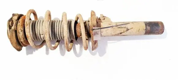 Volkswagen PASSAT B6 Front shock absorber/damper 3c0413031ac