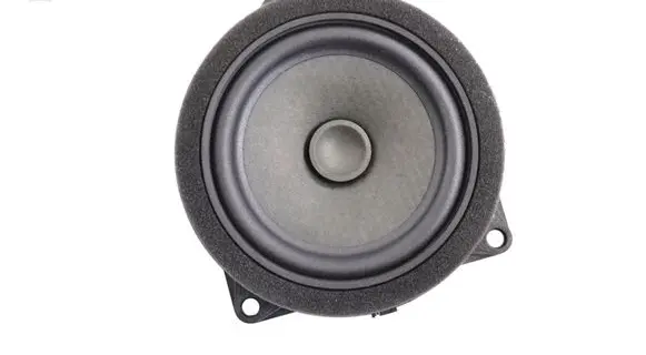 BMW 3 G20 G21 Rear door speaker 6809626