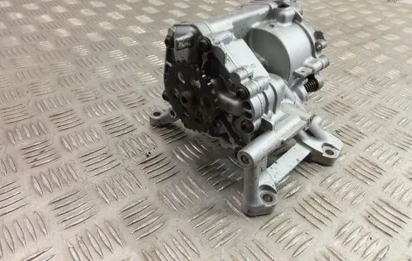 BMW X1 F48 F49 Oil pump 8631810