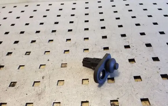 Hyundai Santa Fe Front door sensor 