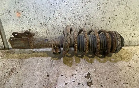 Opel Zafira B Front shock absorber/damper 24466550 22201389 644609745