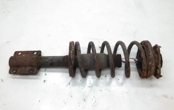 Peugeot Boxer Front shock absorber with coil spring