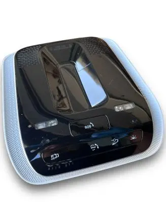 Mercedes-Benz S W223 Headlining lighting console trim A0009002445