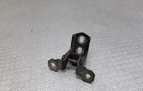 Renault Laguna III Rear door lower hinge