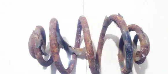 Skoda Superb B5 (3U) Rear coil spring