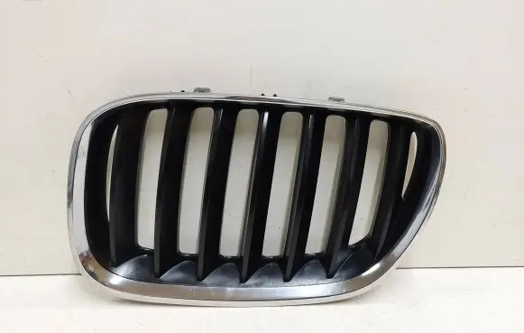 BMW X5 E53 Front bumper upper radiator grill 51137124815 51137113733