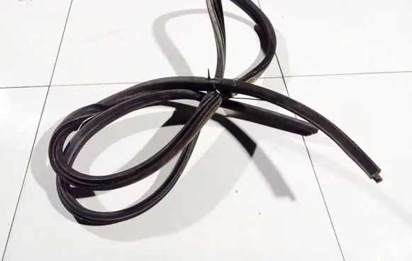 Renault Scenic I Rubber seal front coupe door 