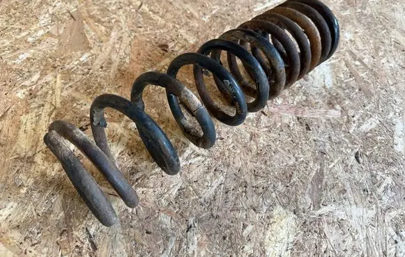 Rear coil spring