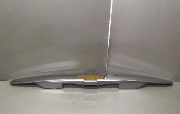 Chevrolet Equinox Tailgate trim 5480977