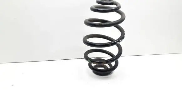 Volkswagen PASSAT B5 Rear coil spring