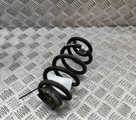 Rear coil spring
