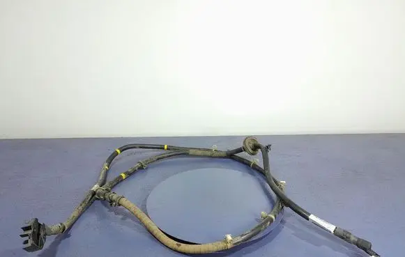 Land Rover Range Rover Sport L320 Other wiring loom CK52-14305-BG