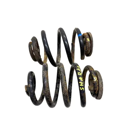 Rear coil spring