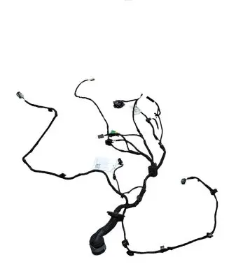 Front door wiring loom
